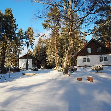 Lojzovy Paseky Hotel Frymburk Bagian luar foto
