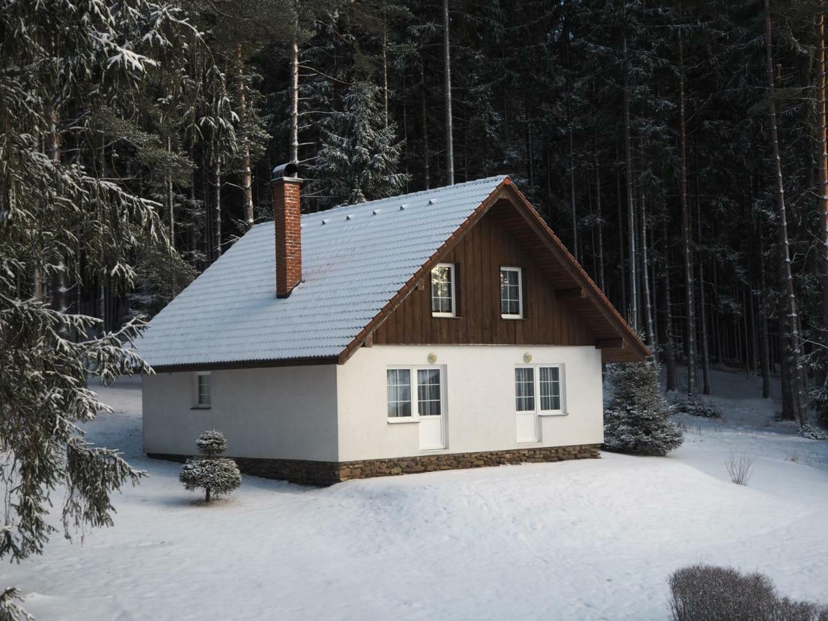 Lojzovy Paseky Hotel Frymburk Bagian luar foto