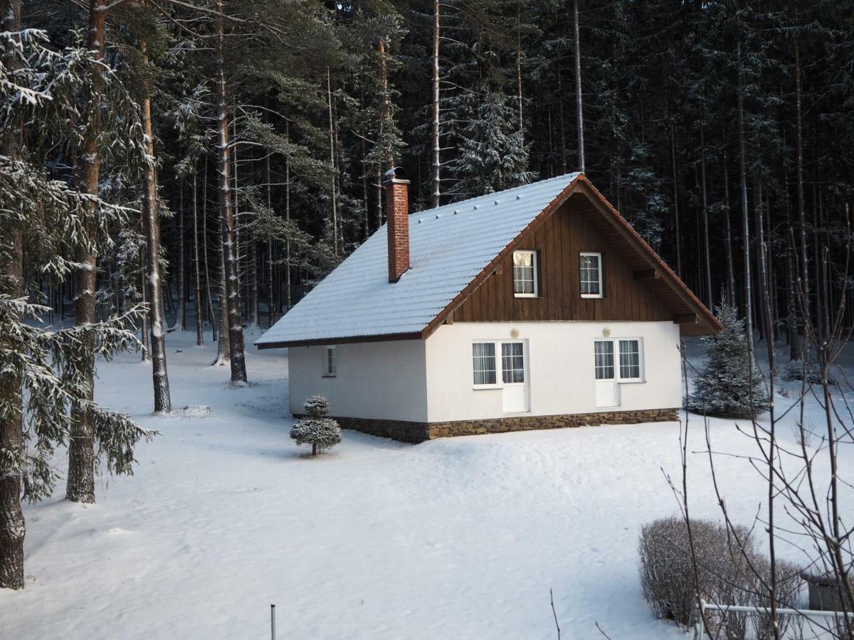 Lojzovy Paseky Hotel Frymburk Bagian luar foto